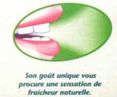 Good Kissing Tips Fresh Mouth Breath