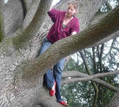 A Tree Climbing Dare Story